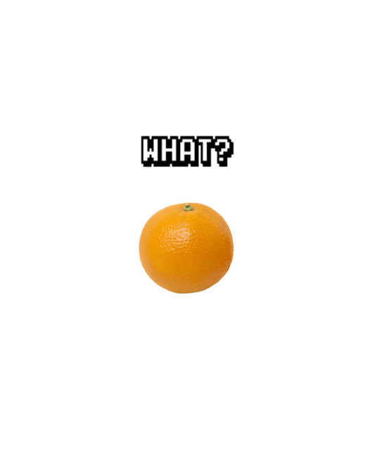 白い背景にドット文字のWHAT?と丸いオレンジが1個置かれた表紙画像