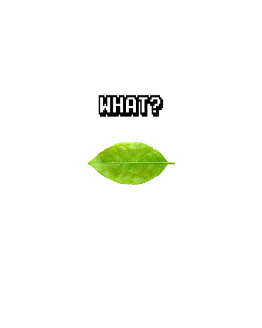 白い背景に「WHAT?」の文字と緑色の茶の葉が1枚だけ置かれた表紙画像