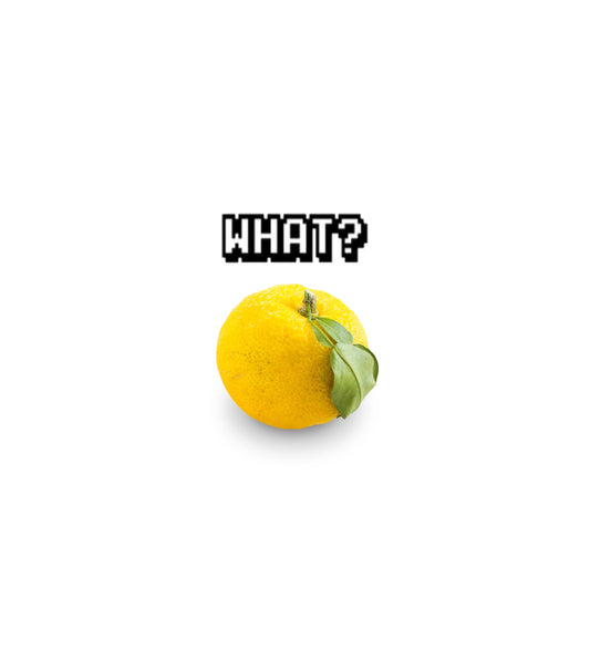 白背景に緑の葉つきの黄色い柚子と「WHAT?」の文字が並ぶ表紙画像